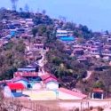 अर्मलाको घना बन क्षेत्र संरक्षण गर्न दुई छुट्टा–छुट्टै उपभोक्ता समिति गठन