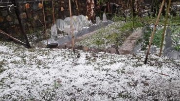 असिना पानी