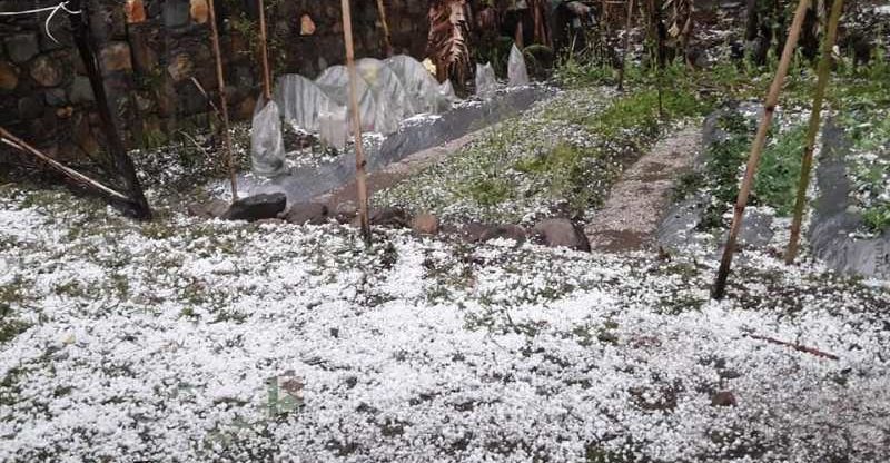असिना पानी