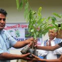 आँधीखोला गाउँपालिकाद्वारा कक्षा ६ देखि १२ सम्मका विद्यार्थीलाई एभोकाडो बिरुवा वितरण