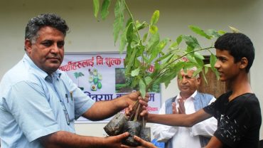 आँधीखोला गाउँपालिकाद्वारा कक्षा ६ देखि १२ सम्मका विद्यार्थीलाई एभोकाडो बिरुवा वितरण