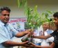 आँधीखोला गाउँपालिकाद्वारा कक्षा ६ देखि १२ सम्मका विद्यार्थीलाई एभोकाडो बिरुवा वितरण