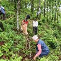 सन्दर्भ वन दिवसः अघिल्लो बर्ष रोपेका विरुवाको गोडमेलसंगै संरक्षण