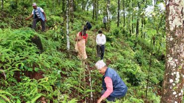 सन्दर्भ वन दिवसः अघिल्लो बर्ष रोपेका विरुवाको गोडमेलसंगै संरक्षण