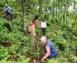 सन्दर्भ वन दिवसः अघिल्लो बर्ष रोपेका विरुवाको गोडमेलसंगै संरक्षण