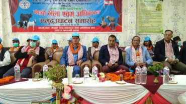 नेकपाबाट निर्वाचितलाई जनप्रतिनिधि मान्न सकिन नेता गगन थापा