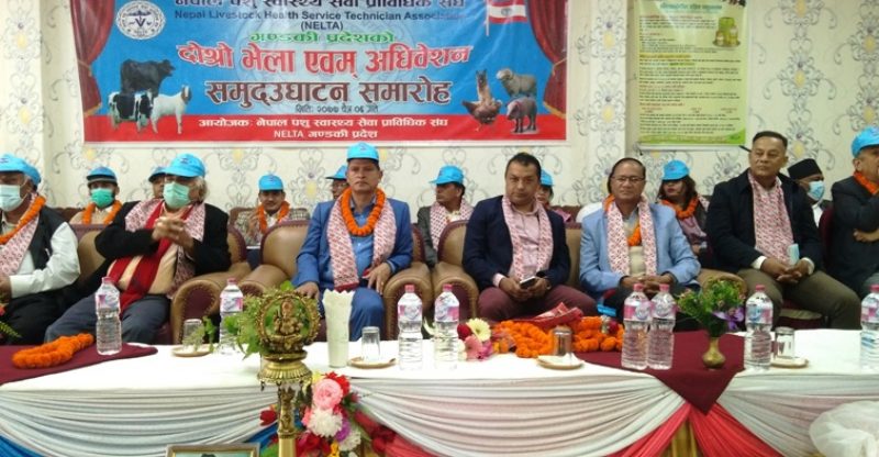 नेकपाबाट निर्वाचितलाई जनप्रतिनिधि मान्न सकिन नेता गगन थापा