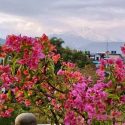 पोखराको वायु प्रदूषणमा सुधार, खुल्यो पोखरा