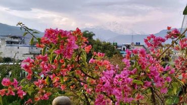 पोखराको वायु प्रदूषणमा सुधार, खुल्यो पोखरा