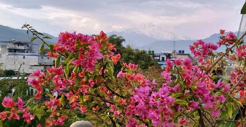 पोखराको वायु प्रदूषणमा सुधार, खुल्यो पोखरा