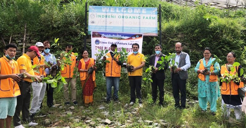 आत्मनिर्भर बन्न सिकाउँदै लेकसाइड लायन्स