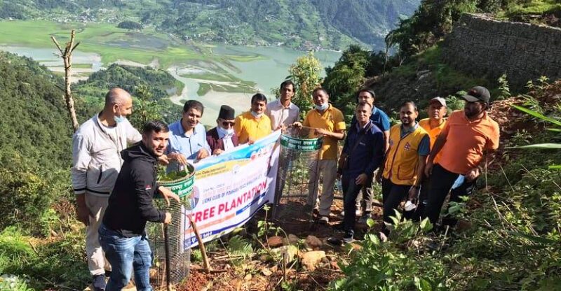 हिमालयन सिटीद्वारा पुम्दिकोटमा वृक्षारोपण