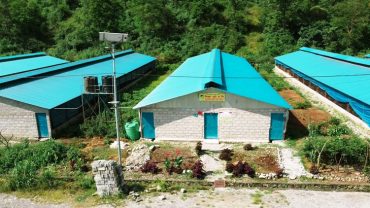 कोरोनाले व्यापार चौपट भएपछि पोखराका युवा ब्यवशायी बंगुरपालन तर्फ