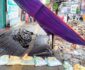 वर्षाले पोखराको महेन्द्रपुलमा भ्वाङ