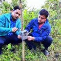 तनहुँमा चितुवा गणना, कैद हुनथाले चितुवा