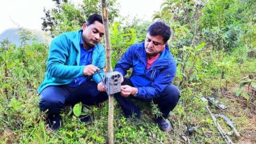 तनहुँमा चितुवा गणना, कैद हुनथाले चितुवा