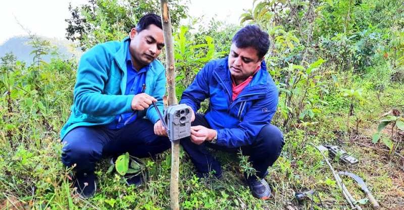 तनहुँमा चितुवा गणना, कैद हुनथाले चितुवा