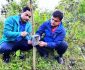 तनहुँमा चितुवा गणना, कैद हुनथाले चितुवा
